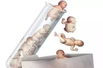 有偿同志借卵怎么选